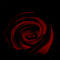 my-first-full-rose by Mandarg