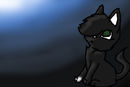 my-fursonaneko