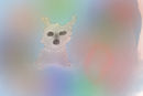 molly-my-dog