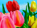 tulip-variation