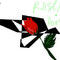 rose-for-love by fabrizio1989