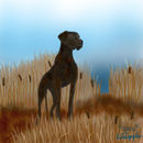 great-dane great-dane