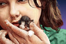 care