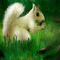 squirel by peterart