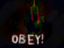 obey
