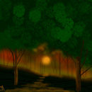 woods-at-sunset