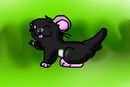 rayne rayne