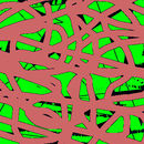 worms