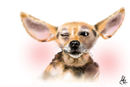 ears