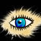 the-peeking-eye by random123