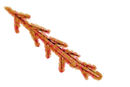 simple-flaming-spiked-